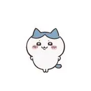 ハチワレの画像