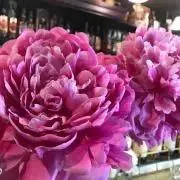 即日発送　即購入OKの画像
