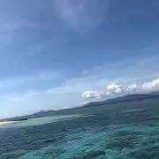ウタの画像
