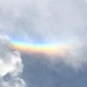 七福神の画像