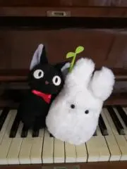 Mimiの画像