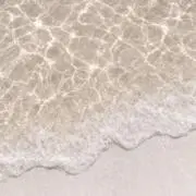 cocoloaの画像