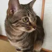 ひろまま