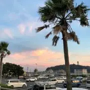 みきの画像
