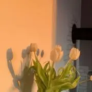 ♛︎の画像