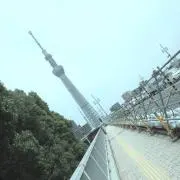 Life0215の画像