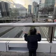 miseoの画像