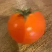 tomatoの画像