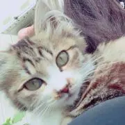 うる