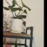 Aの画像