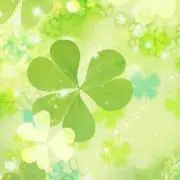 ナンカ