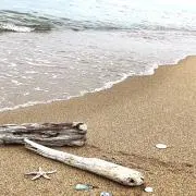 木然人の画像