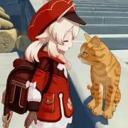 アザラシの画像