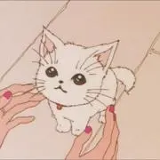 chiiの画像