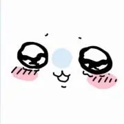 ちい(プロフ確認必)@断捨離中の画像