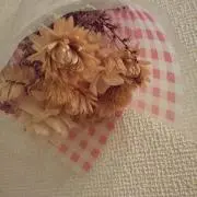 ayumiの画像