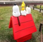 hanaの画像