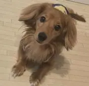 ゆきんこ