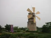 EAの画像