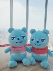 ゆずちゃんの画像