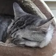 うさ《プロフ確認お願い致します》の画像