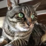 soopooの画像