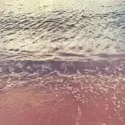 Anaa★の画像