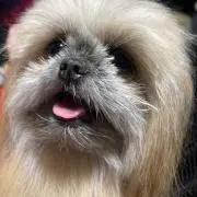まーの画像
