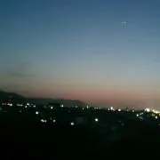 サボテン