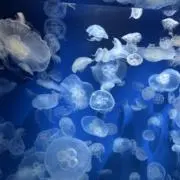 ayaの画像