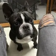 げんちゃん