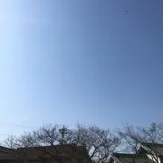 おたま