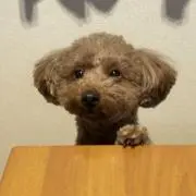ゆーさん(お値下げ可能)の画像