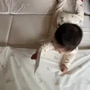 chanの画像