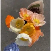 nicoの画像
