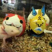 TKG⊂((・x・))⊃