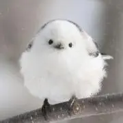 てっちゃんの画像