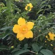 六甲さんの画像