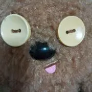 のらの画像