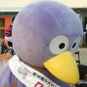 きっき