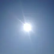 tomtomの画像