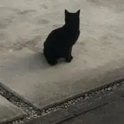 sato""の画像