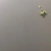 かえの画像