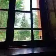 Anyaの画像