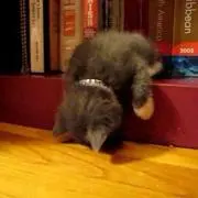 meの画像