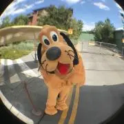 poohの画像