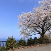 panの画像
