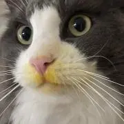 まさみの画像