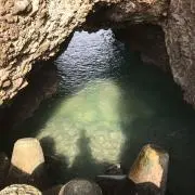 はち