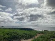 oniの画像